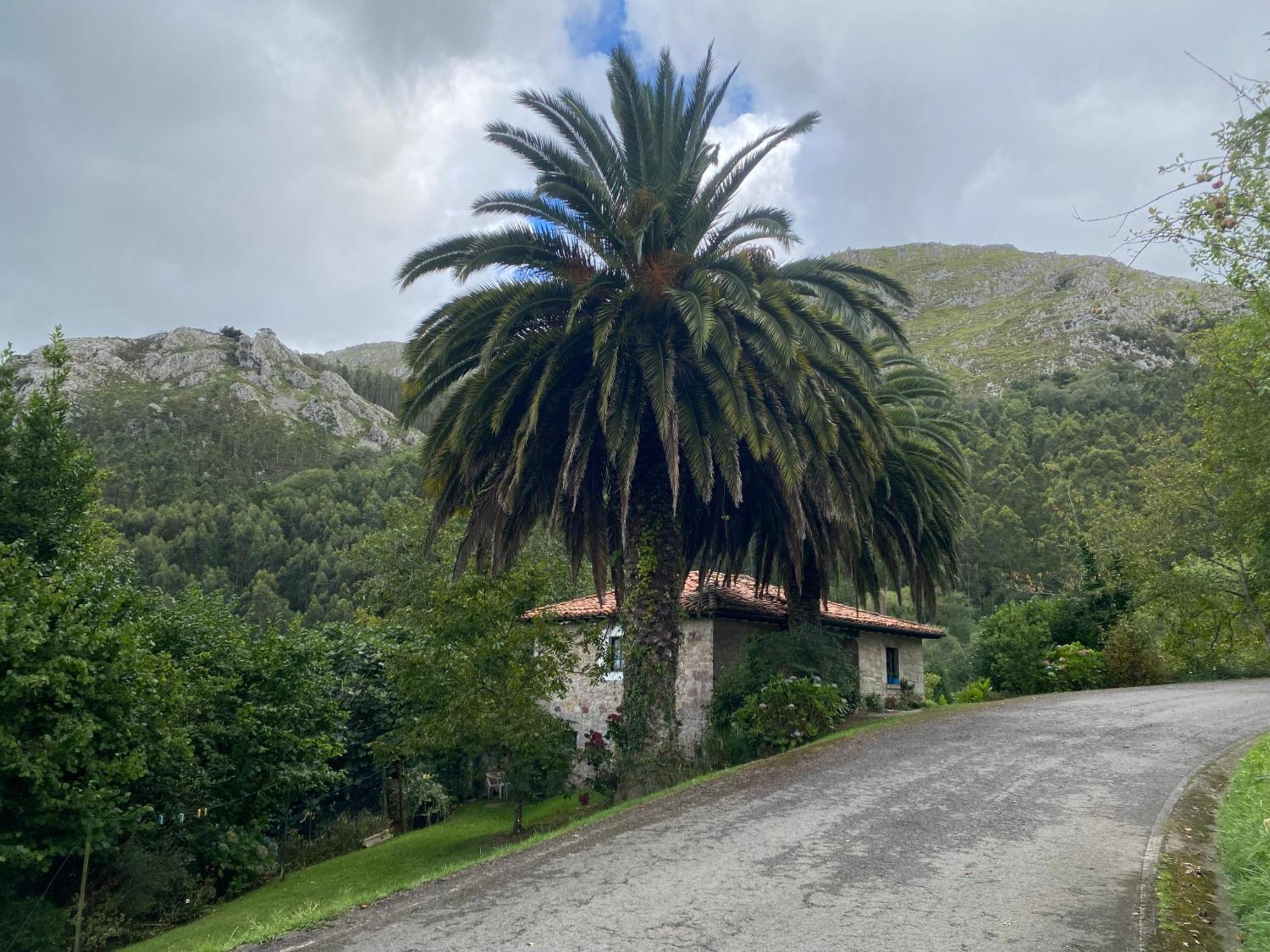 Casa Estilo Rural Con Jardin Entre Playa Y Montana Vila Caravia Exterior foto